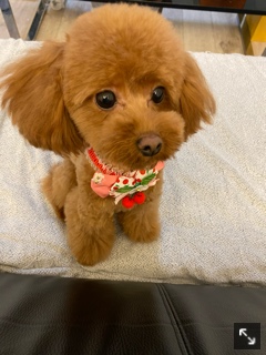 クラブ ロエ まい 😻1