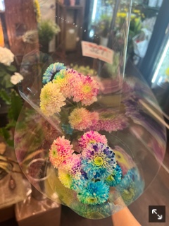 クラブ ロエ まい 🍒1