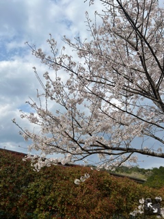 クラブ ロエ まい ❤️1