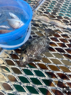 クラブ ロエ まい 😇1