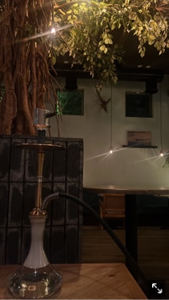 クラブ ロエ まい 😽1