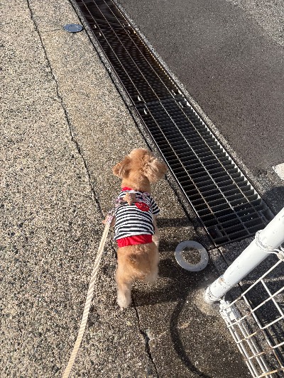 クラブ ロエ ななみ ななみ1