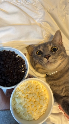 クラブ ロエ るしあ るしあ1