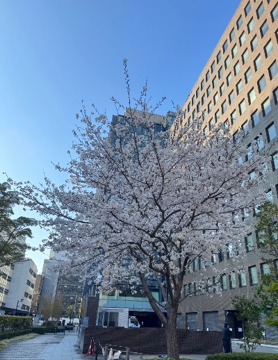 中洲　キャバクラ　キャバ嬢日記