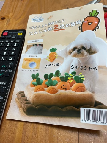 クラブ ロイヤル 絵梨香 ⭐️12月30日⭐️1