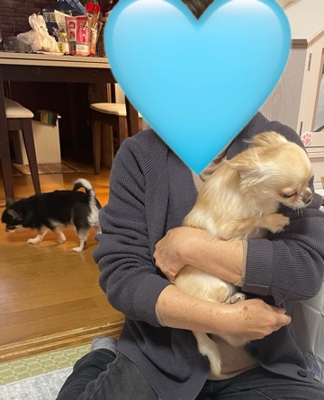 クラブ ロイヤル 絵梨香 ⭐️1月6日⭐️1