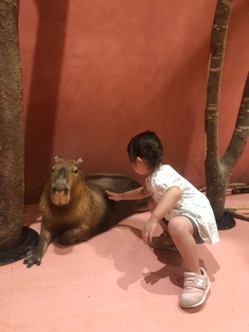 クラブ ロイヤル 絵梨香 ⭐️1月11日⭐️1