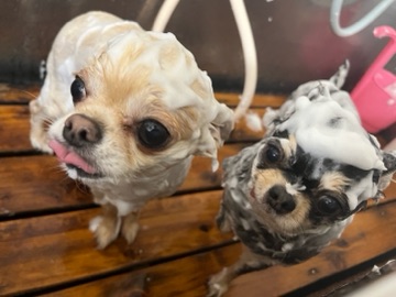 クラブ ロイヤル 絵梨香 ⭐️1月27日②⭐️1