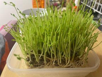 クラブ ロイヤル 絵梨香 ⭐️1月30日⭐️1