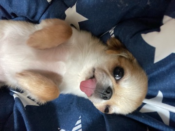 クラブ ロイヤル 絵梨香 ⭐️2月5日⭐️1