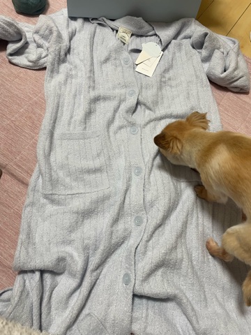 クラブ ロイヤル 絵梨香 ⭐️2月27日⭐️1