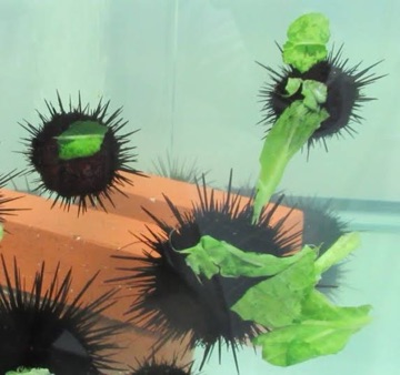 クラブ ロイヤル 絵梨香 ⭐️3月13日②⭐️1