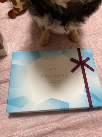 クラブ ロイヤル 絵梨香 ⭐️3月15日⭐️1