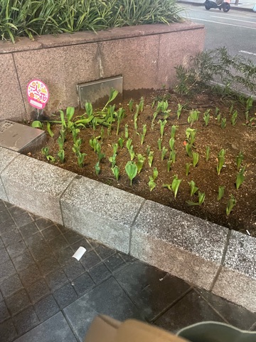 クラブ ロイヤル 絵梨香 ⭐️3月18日⭐️1