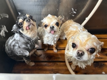 クラブ ロイヤル 絵梨香 ⭐️3月22日②⭐️1