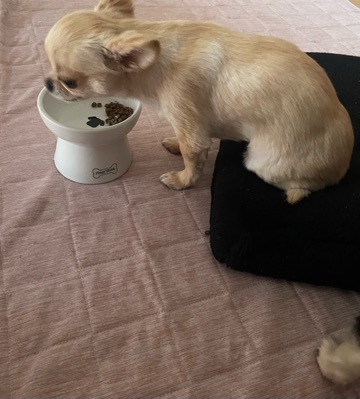 クラブ ロイヤル 絵梨香 ⭐️5月10日⭐️1