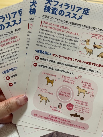 クラブ ロイヤル 絵梨香 ⭐️5月19日⭐️1