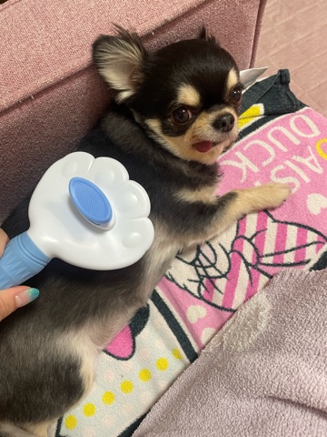 クラブ ロイヤル 絵梨香 ⭐️6月21日⭐️1