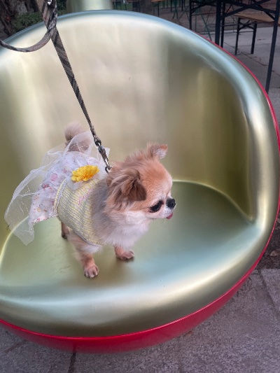 クラブ ロイヤル 絵梨香 ⭐️12月19日②⭐️1