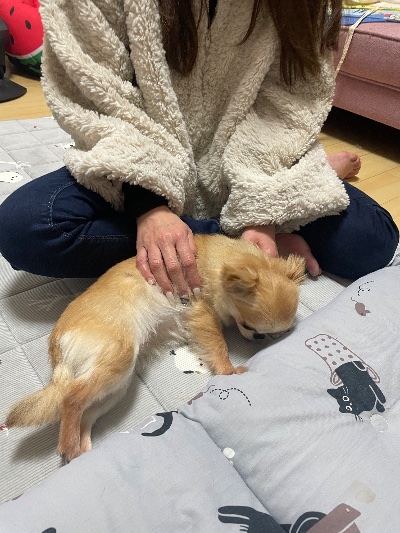 クラブ ロイヤル 絵梨香 ⭐️12月22日②⭐️1