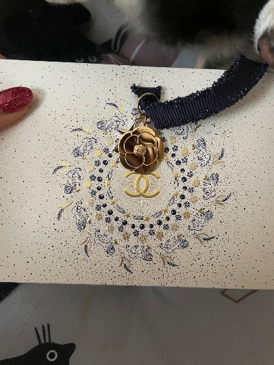 クラブ ロイヤル 絵梨香 ⭐️11月26日⭐️1