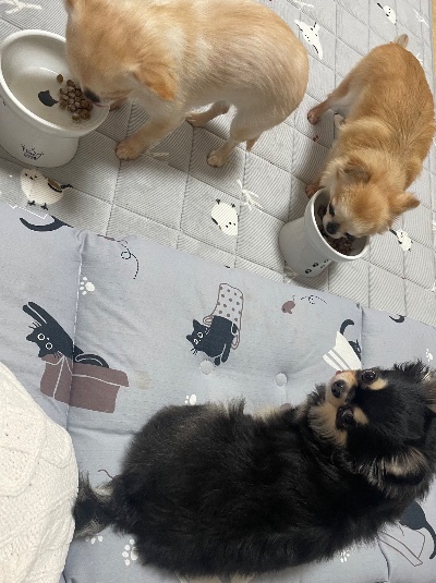 クラブ ロイヤル 絵梨香 ⭐️12月26日②⭐️1