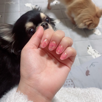 クラブ ロイヤル 絵梨香 ⭐️1月13日⭐️1