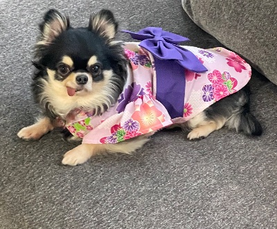 クラブ ロイヤル 絵梨香 ⭐️1月14日②⭐️1