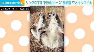 クラブ ロイヤル 絵梨香 ⭐️1月16日⭐️1