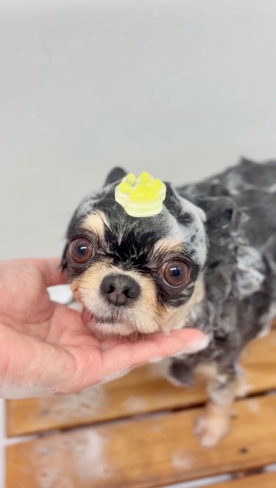 クラブ ロイヤル 絵梨香 ⭐️1月20日⭐️1