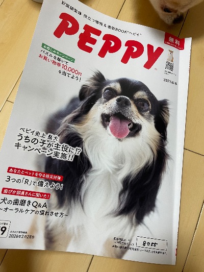 中洲　キャバクラ　キャバ嬢日記