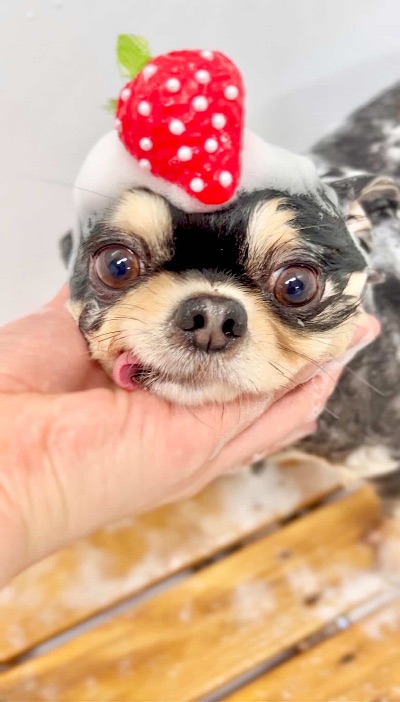 中洲　キャバクラ　キャバ嬢日記