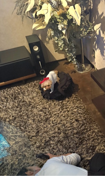 クラブ ロイヤル かおり すごい体勢1