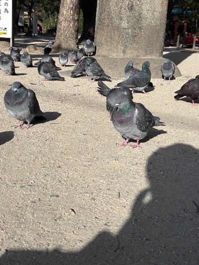 クラブ ロイヤル まふゆ 厄祓い1