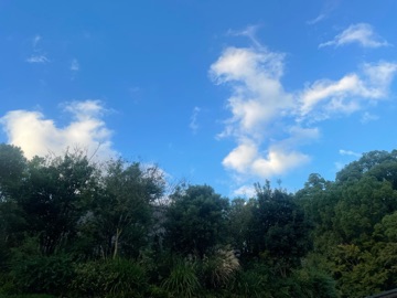 クラブ ロイヤル 蘭 🌳1