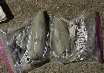 クラブ ロイヤル りかこ 🦑1