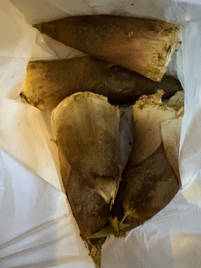 中洲 キャバクラ キャバ嬢日記