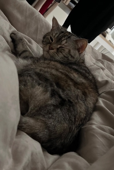 クラブ ロイヤル るな お…重い………( ・᷄-・᷅ ).。oO1