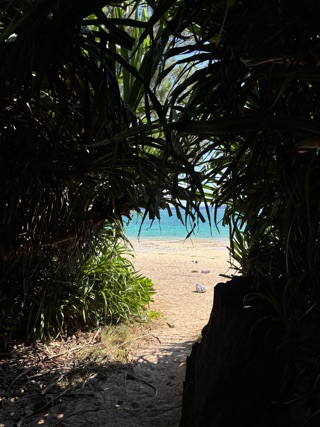 クラブ ロイヤル たえ 海1