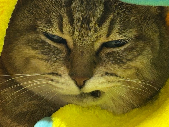 中洲　キャバクラ　キャバ嬢日記