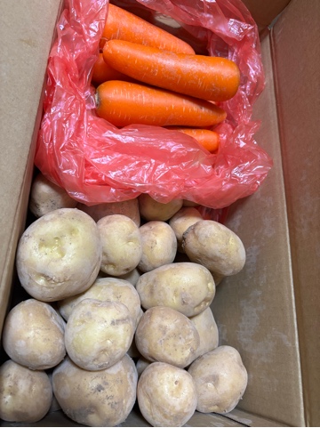 クラブ ロイヤル ユキナ #️⃣11671