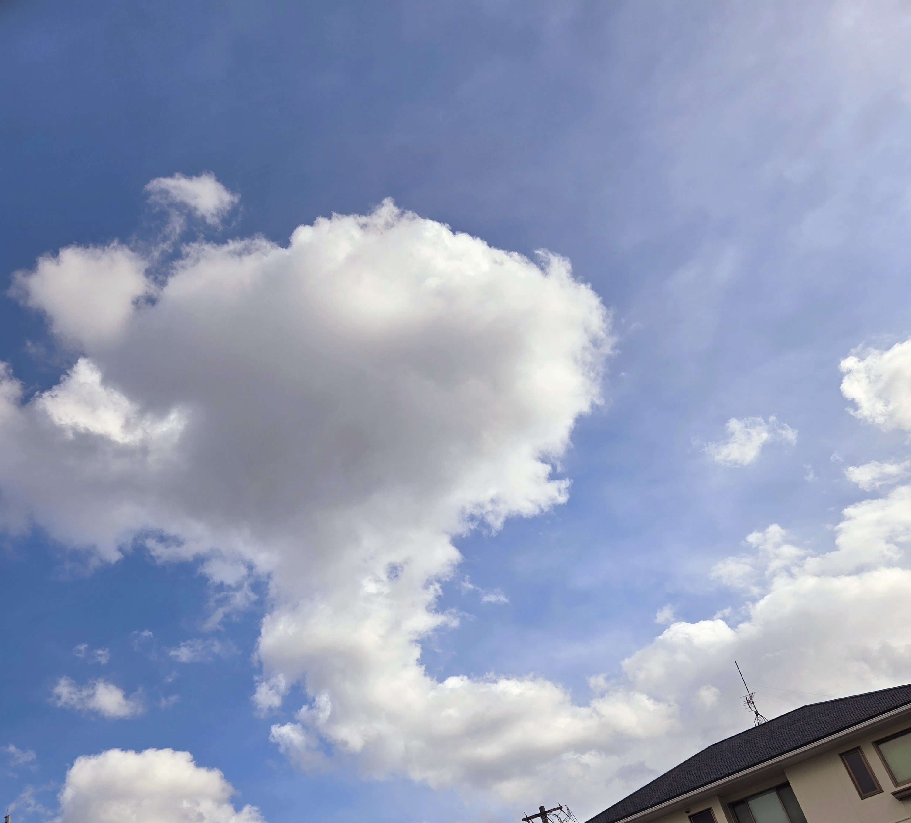 クラブ ライズ ひな 中洲 ライズ ひな1
