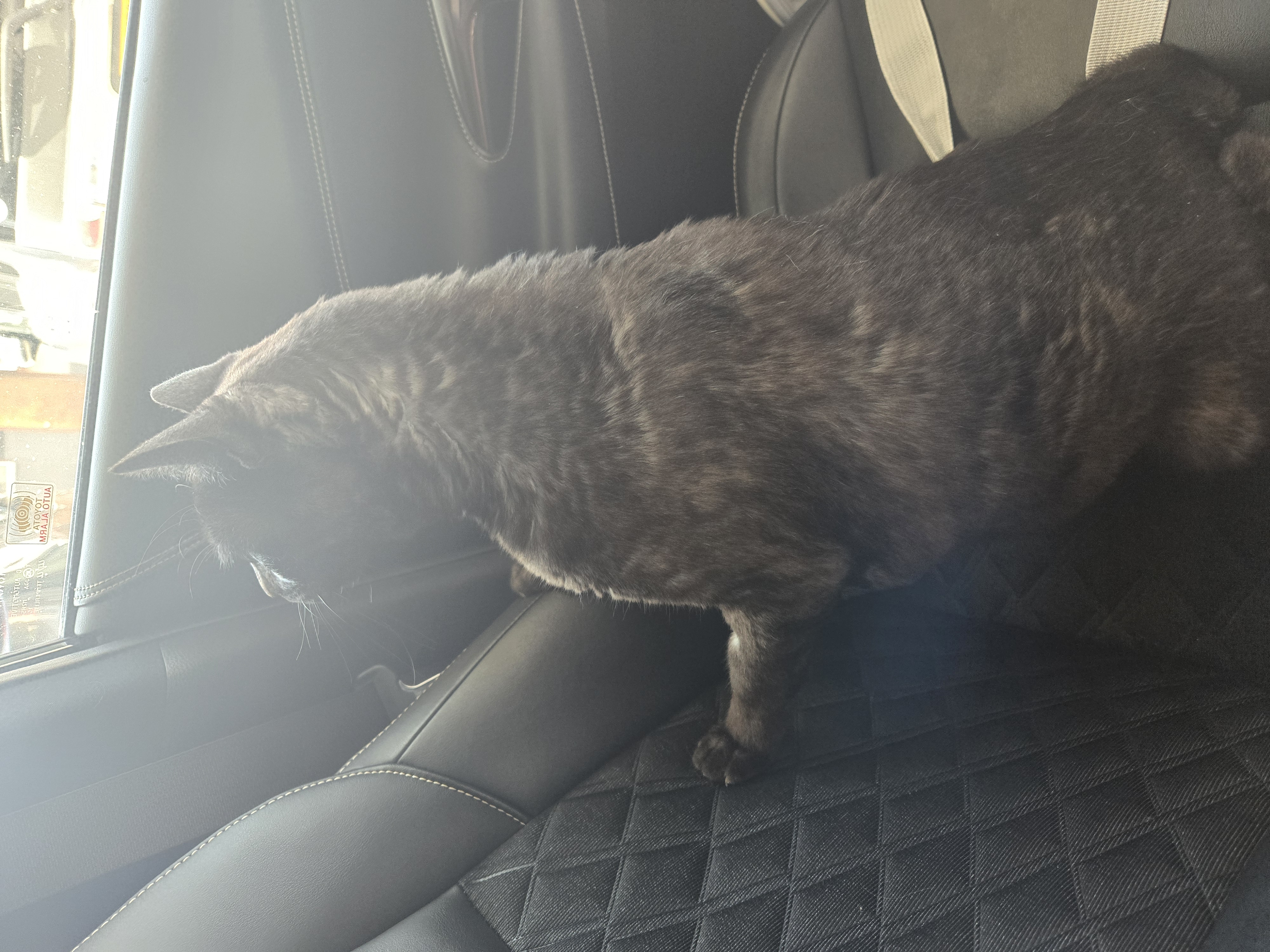 クラブ ライズ ひな 中洲 ライズ ひな1