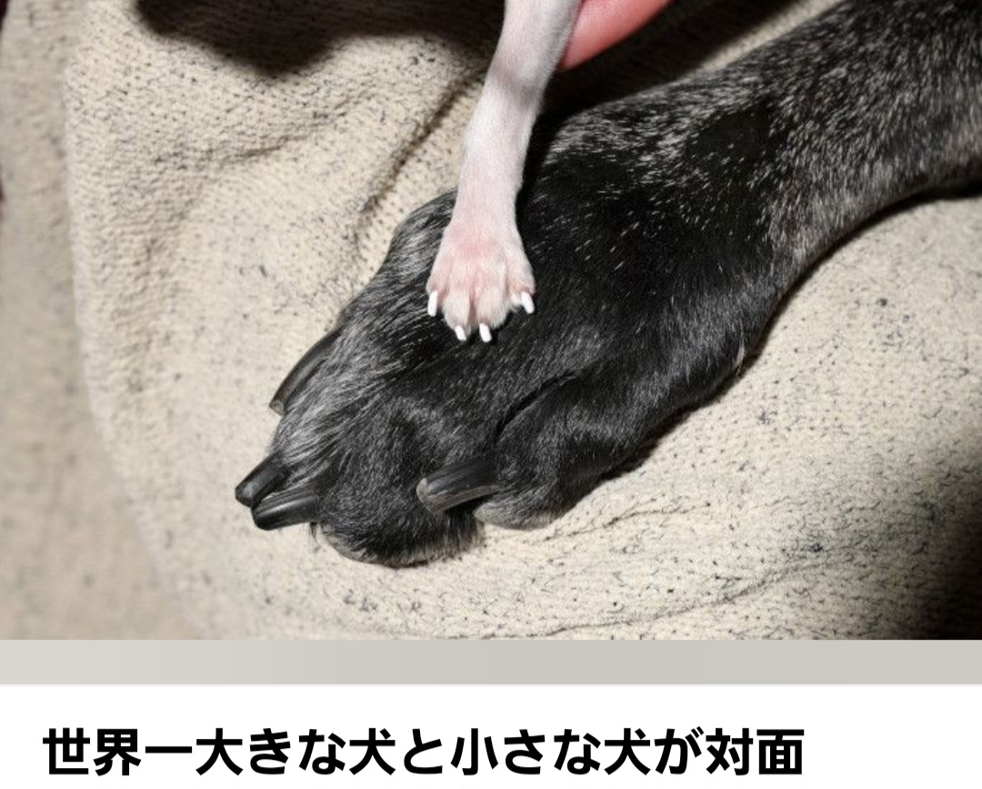 クラブ ライズ ひな 中洲 ライズ ひな1