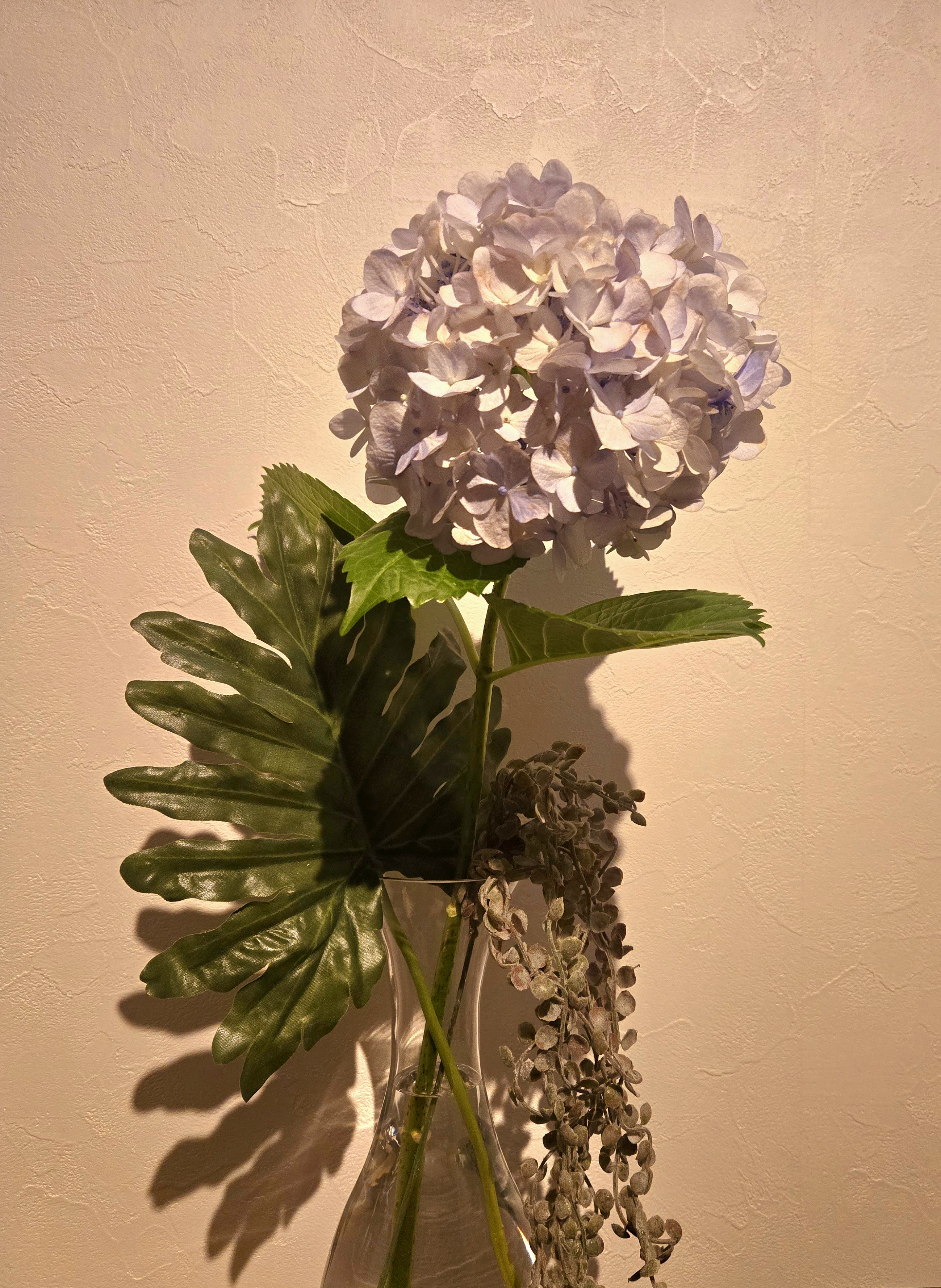 クラブ ライズ ひな 中洲 ライズ ひな1