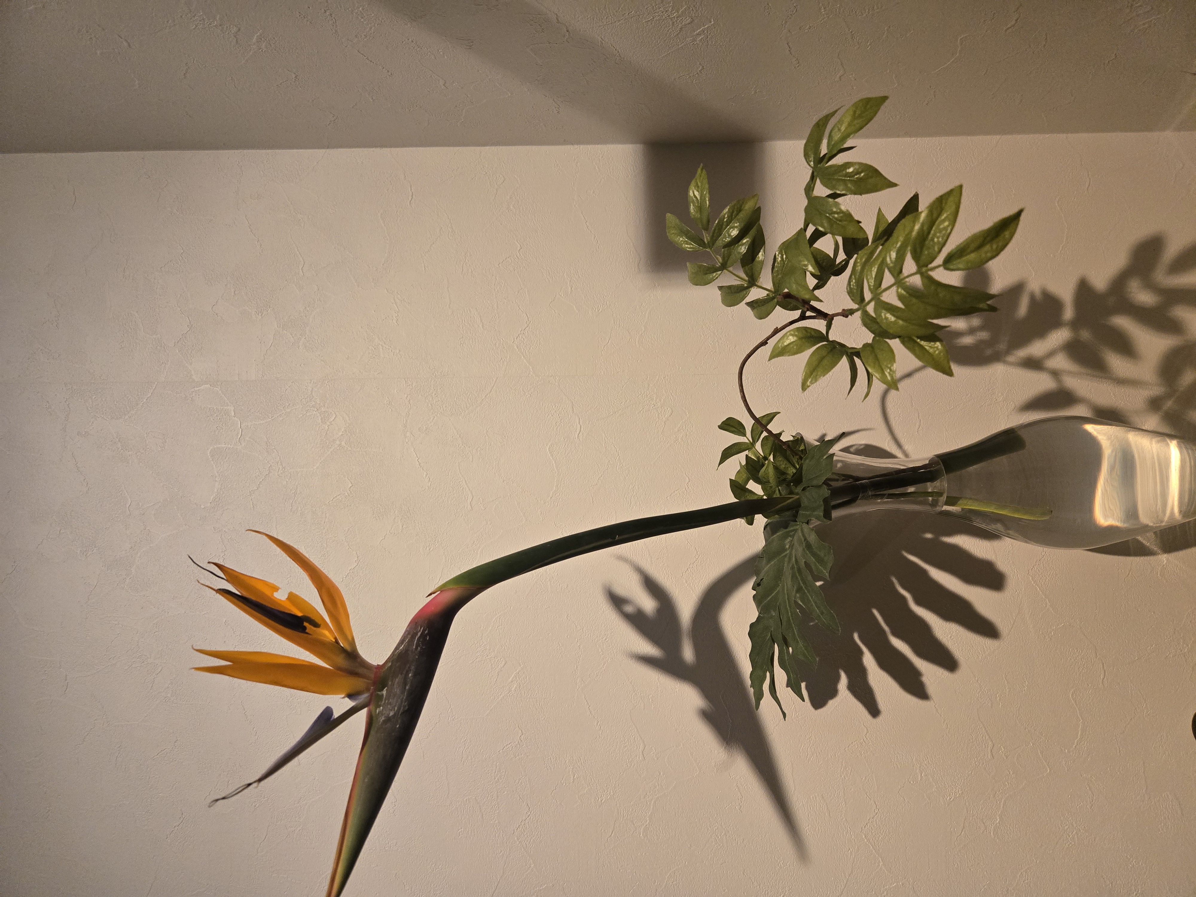 クラブ ライズ ひな 中洲 ライズ ひな1