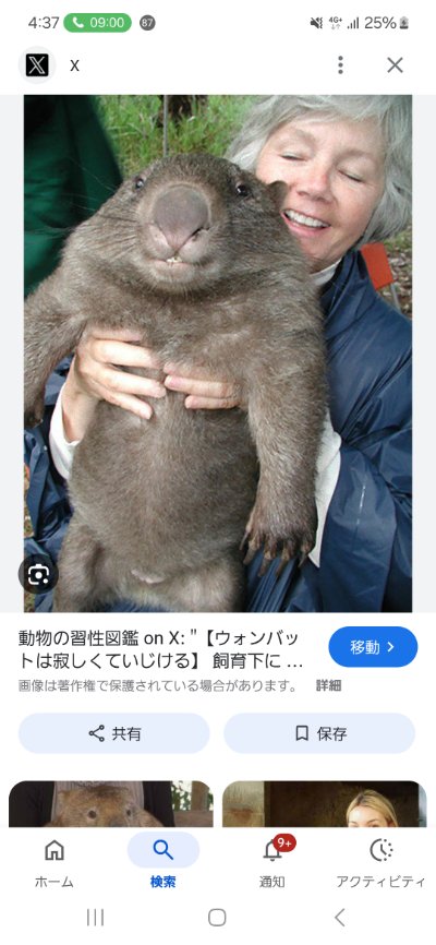 クラブ ライズ ひな テスト1