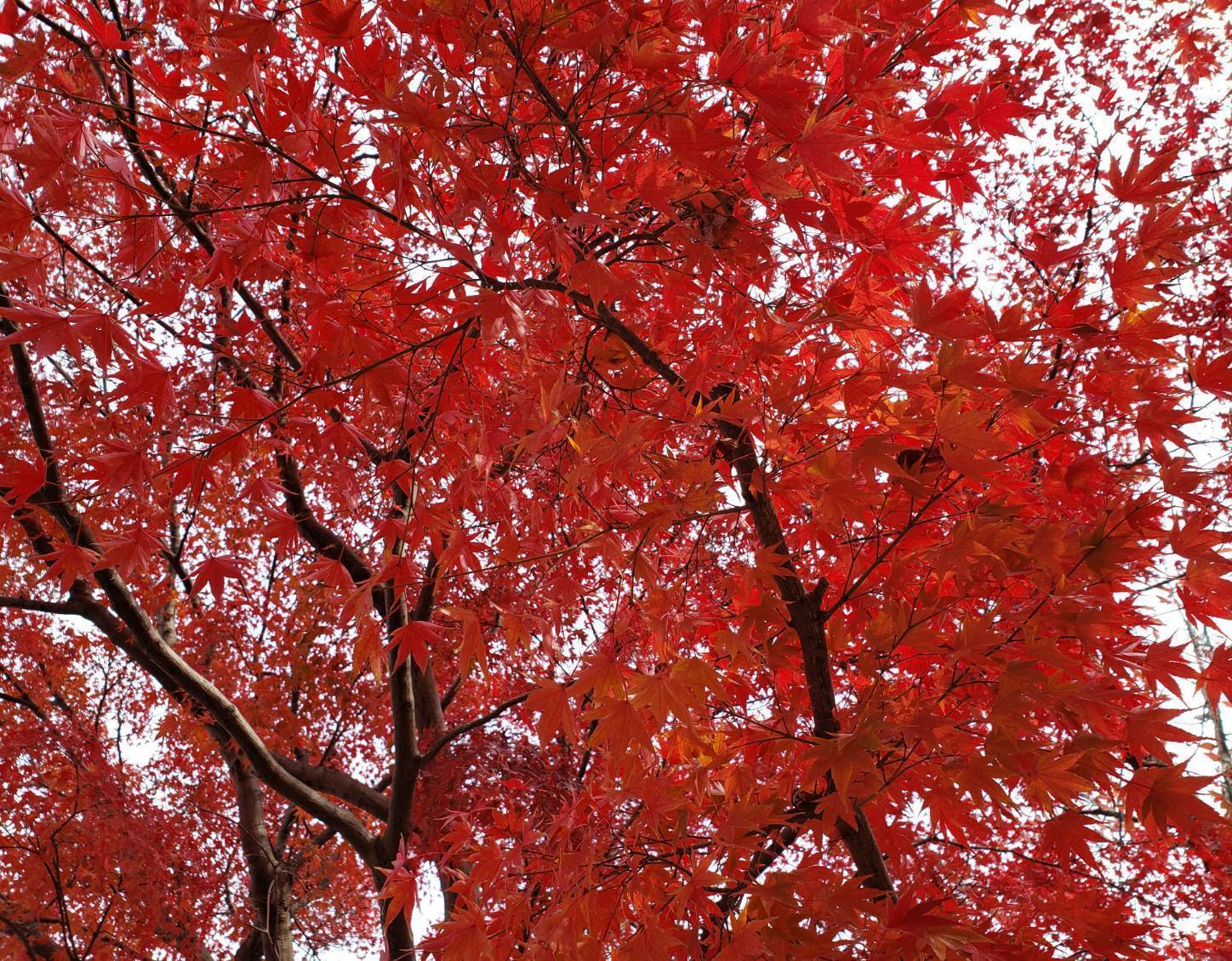 クラブ ライズ ひな 中洲 ライズ ひな1