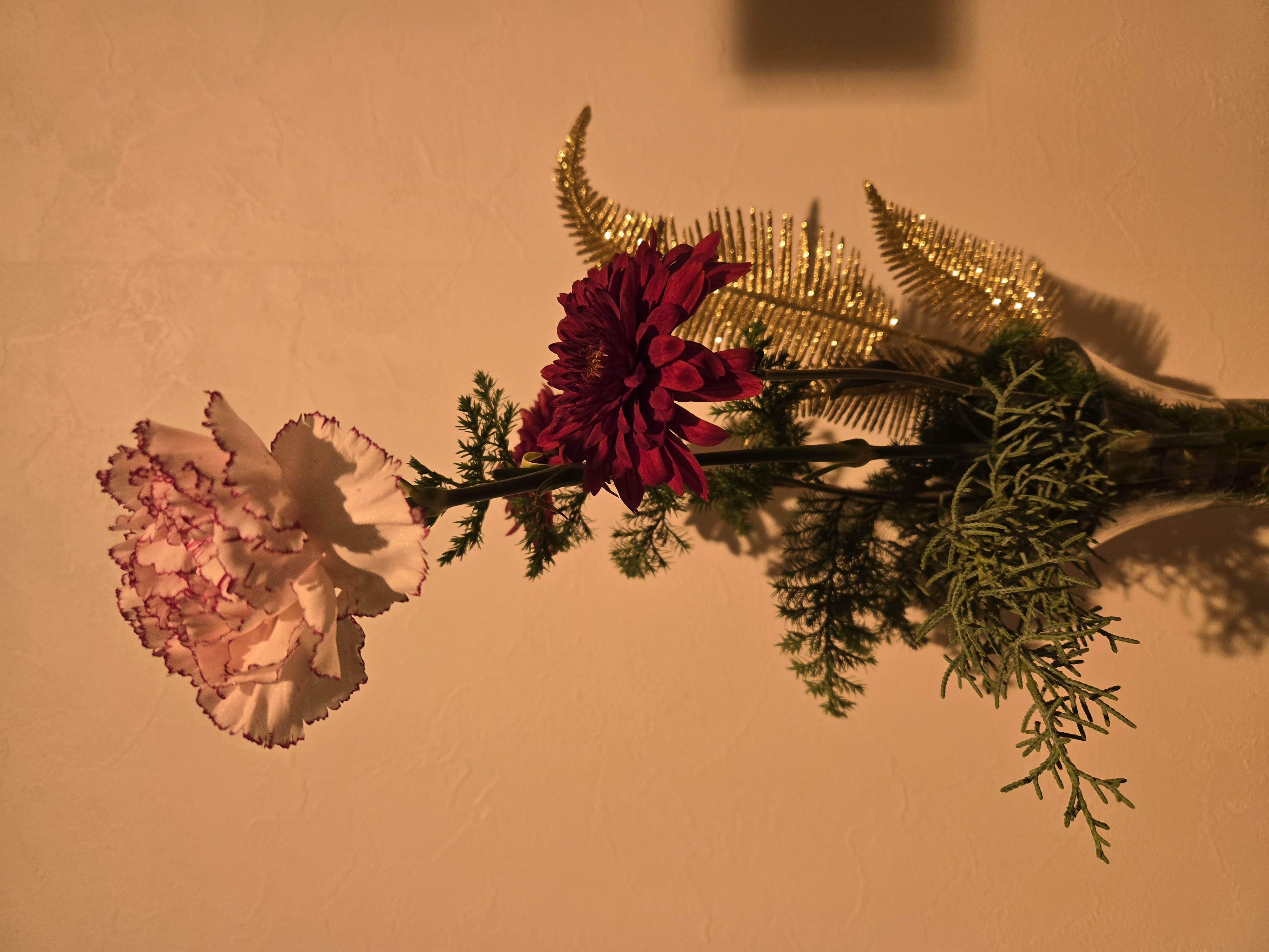 クラブ ライズ ひな 中洲 ライズ ひな1