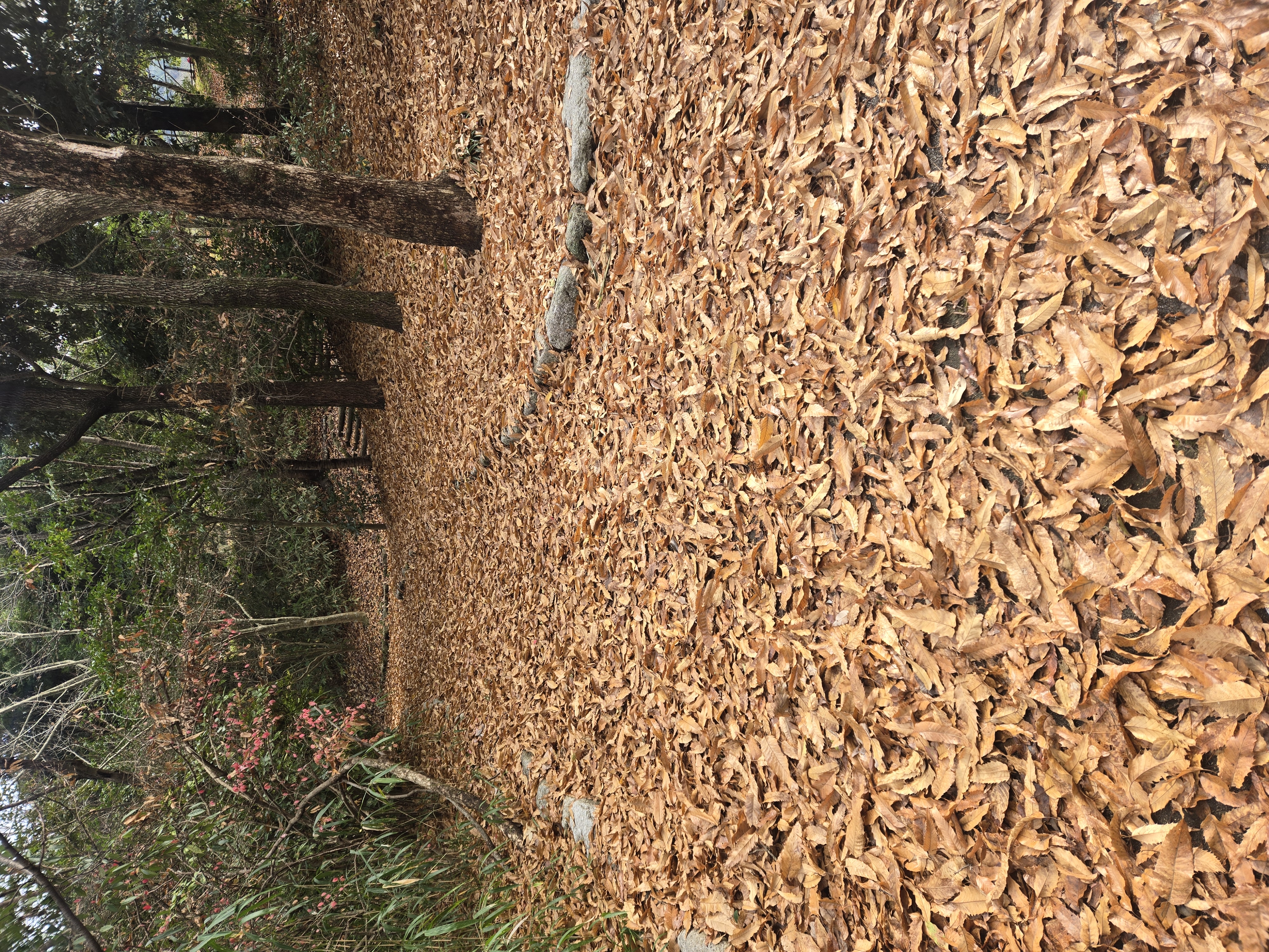 クラブ ライズ ひな 中洲 ライズ ひな1